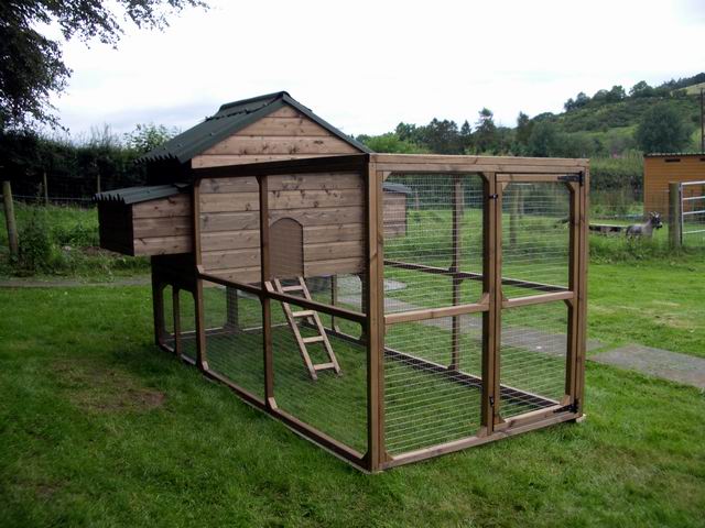 Large Chicken Coops